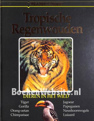 Tropische Regenwouden