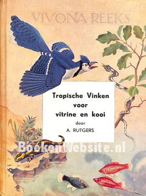 Tropische Vinken voor vitrine en kooi