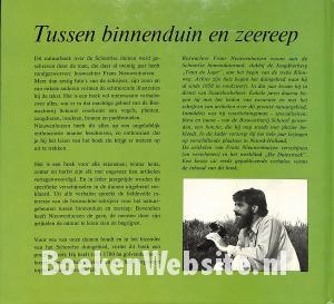 Tussen binnenduin en zeereep