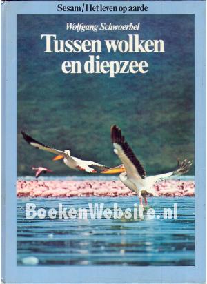 Tussen wolken en diepzee