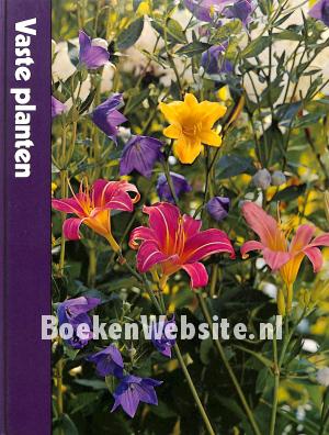 Vaste planten Vaste planten