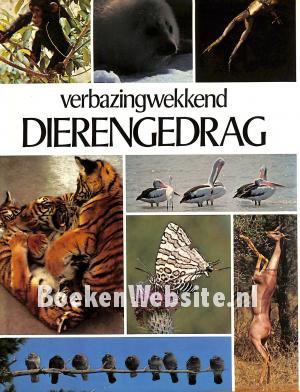 Verbazingwekkend Dierengedrag