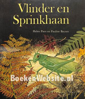 Vlinder en Sprinkhaan