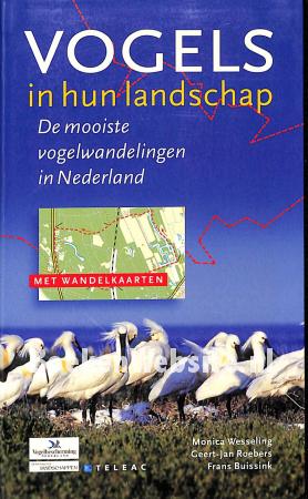 Vogels in hun landschap
