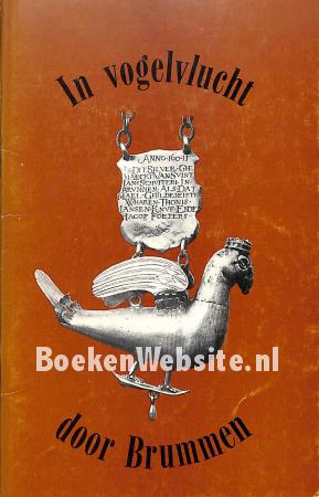 In vogelvlucht door Brummen