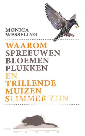 Waarom spreeuwen bloemen plukken Waarom spreeuwen bloemen plukken