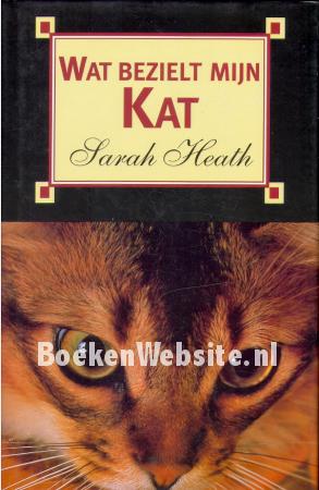 Wat bezielt mijn kat