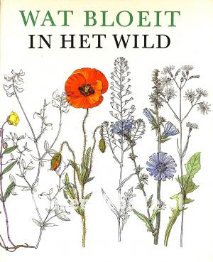 Wat bloeit in het wild