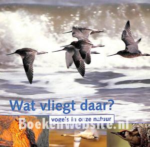 Wat vliegt daar? Wat vliegt daar?