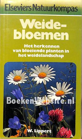 Weidebloemen