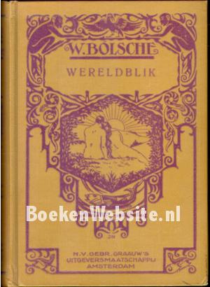 Wereldblik