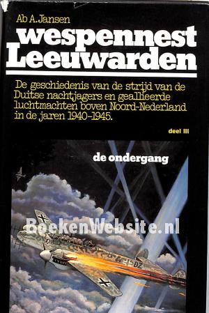 Wespennest Leeuwarden III