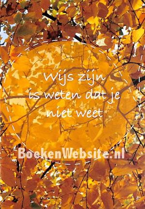 Wijs zijn is weten dat je het niet weet