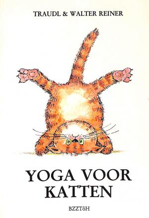 Yoga voor katten