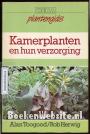 Kamerplanten en hun verzorging