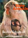 All Colour book of Baby Animals