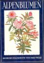 Alpenblumen