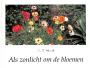 Als zonlicht om de bloemen