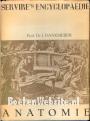 Anatomie