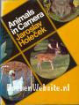 Animals in Camera