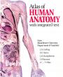 Atlas of Human Anatomy