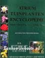 Atrium tuinplanten encyclopedie