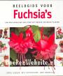 Beeldgids voor Fuchsia's