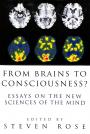 From Brains to Consciousness?