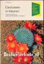 Cactussen in kleuren