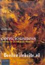 Consciousness