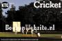 Cricket