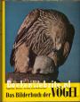 Das Bilderbuch der Vögel