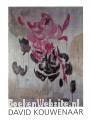 David Kouwenaar