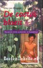 De cactus bloeit