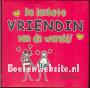 De leukste vriendin van de wereld!