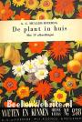 De plant in huis