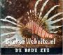 De Rode Zee