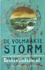 De volmaakte storm