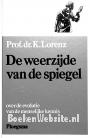 De weerzijde van de spiegel