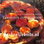 Decoreren met bloemen