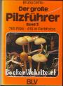 Der Grosse Pilzführer 3