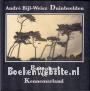 Duinbeelden - Buitenland of Kennemerland