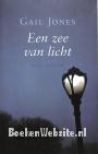 Een zee van licht