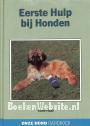 Eerste hulp bij honden