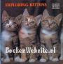 Exploring Kittens