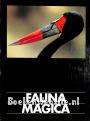 Fauna Magica