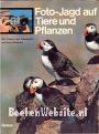 Foto Jagd auf Tiere und Pflanzen