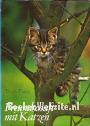 Freundschaft mit Katzen