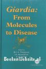 Giardia: From Molecules to Disease