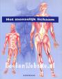 Het menselijk lichaam